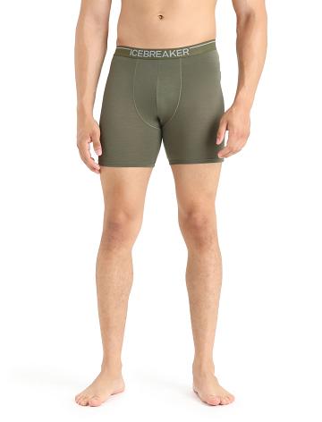 Men's Icebreaker Merino Anatomica Long Boxers Underwear Loden | CA 1663JPQJ